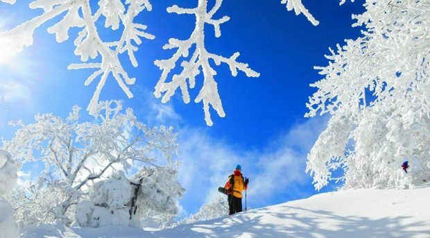 Hvor er vinter skal-besøg steder i Tyrkiet?