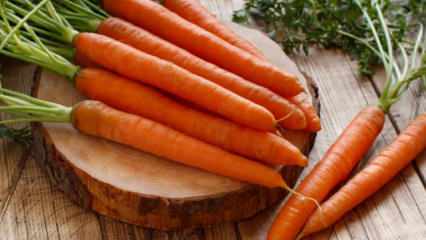 Hvordan dyrker gulerødder i gryder derhjemme? Gulerod dyrkningsmetoder i gryder
