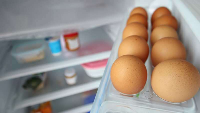 Hvad skal der være på hvilken hylde i køleskabet