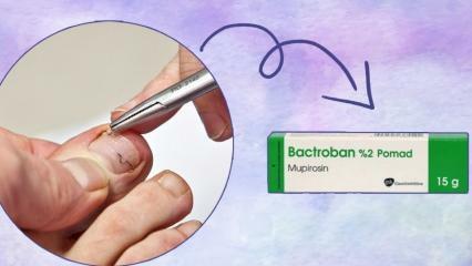 Hvad gør Bactroban creme, og hvordan bruger man den? Bactroban pomade pris 2023