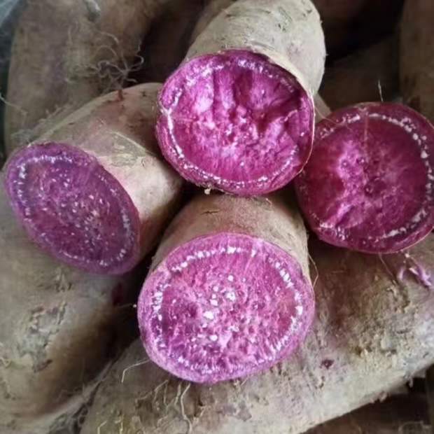 fordelene ved søde kartofler (dyrket i Kina)