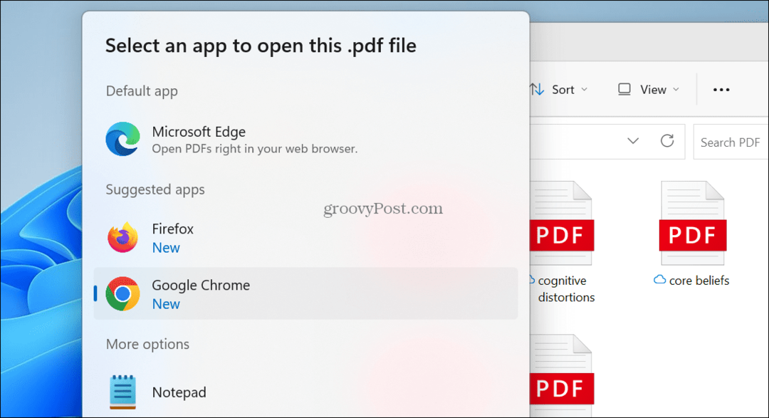 Standard PDF Viewer på Windows 11