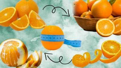 Hvor mange kalorier er der i en appelsin? Hvor mange gram er 1 medium orange? Tager du på i vægt at spise appelsin?