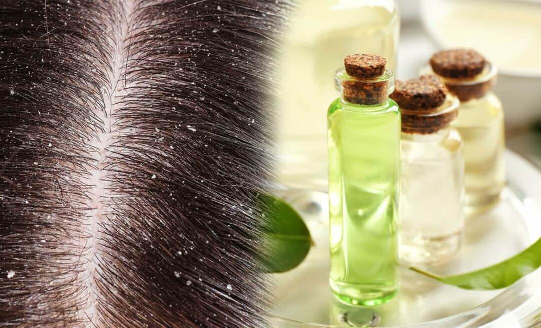 Kan du bruge tea tree olie til skæl? Kan du smøre tea tree olie på dit hår, og er det godt?
