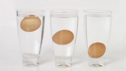 Hvordan forstå uaktuelle æg?