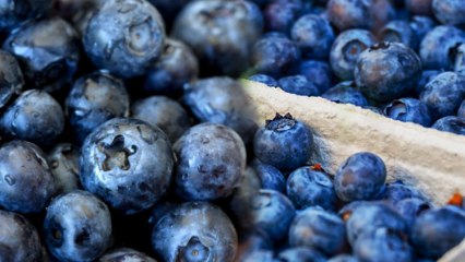 Hvad er fordelene ved blåbær for huden? Hudplejemasker lavet med blåbær
