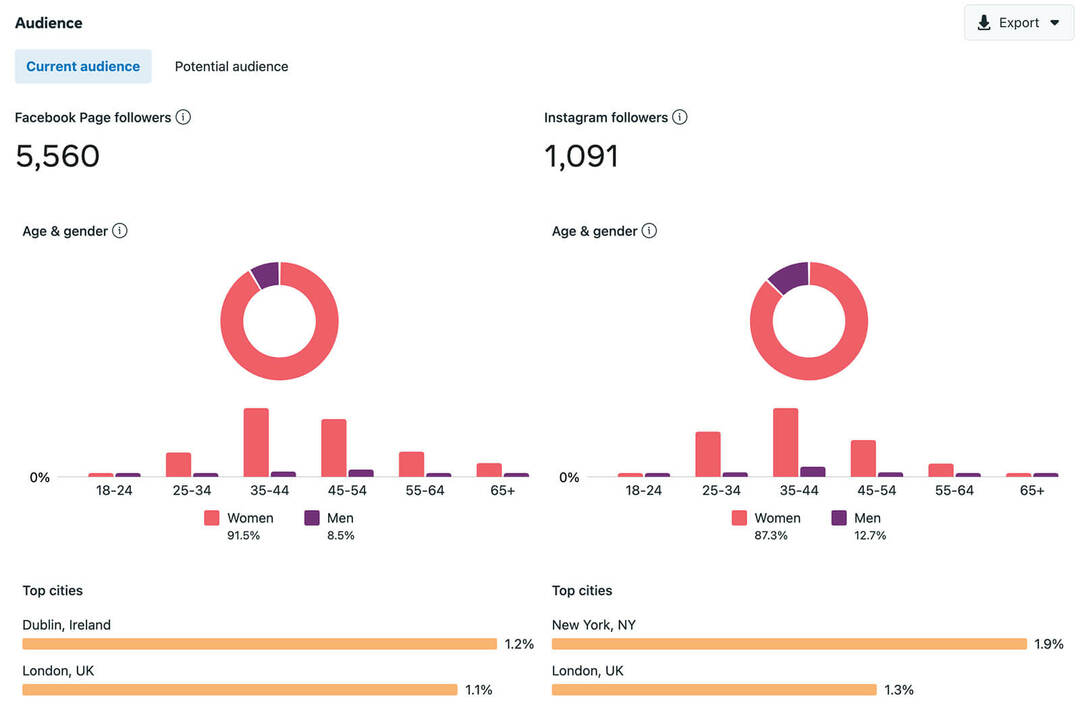 hvordan-man-gør-et-årligt-revisionstjek-audience-metrics-business-suite-demographics-locations-facebook-pages-instagram-accounts-example-7