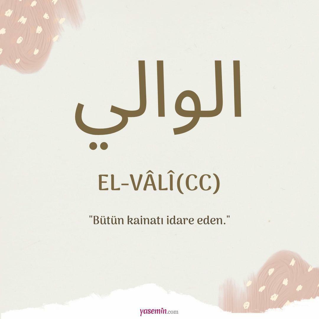 Hvad betyder al-Vali (c.c)?