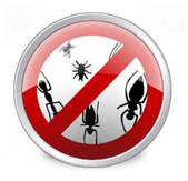 Installer antivirus til at squash bugs og nasy viruskode!