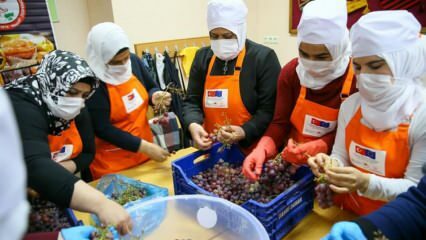 Syriske kvinder lærer at gøre druer til melasse i Izmir