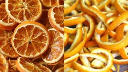 Hvordan tørres appelsinen? Grøntsags- og frugttørringsmetoder derhjemme
