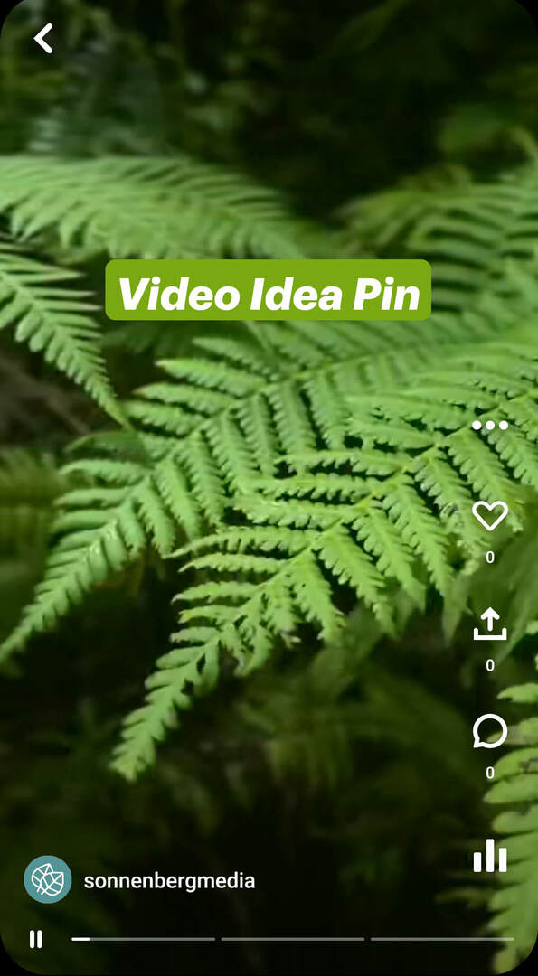 hvad-er-pinterest-idea-pins-sonnenbergmedia-video-pin-eksempel-1