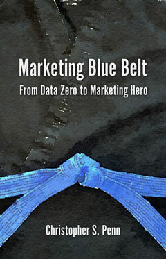 marketing blå bælte bogomslag