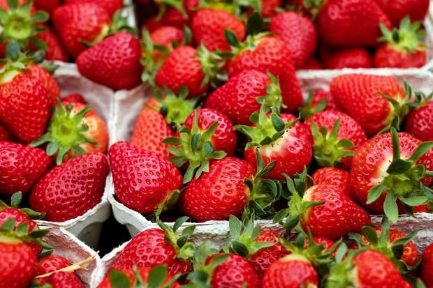 fordelene ved jordbær