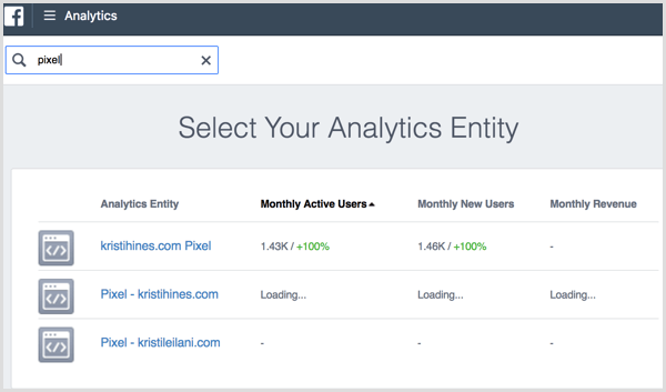 Facebook Analytics-websted