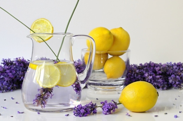 Lavendel limonade opskrift