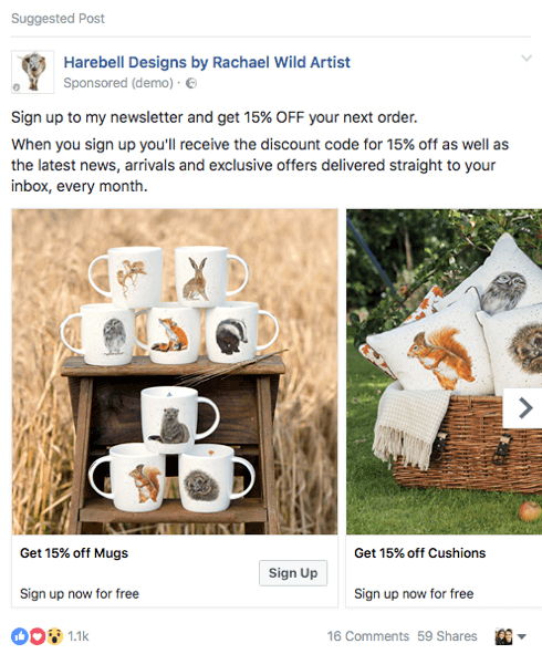 Dette e-handelsfirma promoverer en blymagnet til rabatkode i en Facebook-annonce.