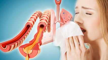 Hvad forårsager sputum? Hvilke sygdomme er sputum en forløber for sygdomme? Naturlige måder at udvise sputum ...