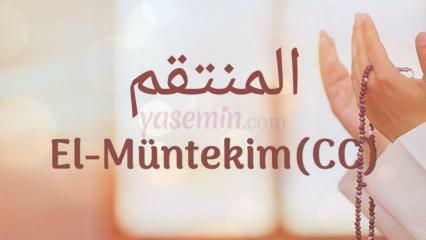 Hvad betyder Al-Muntakim (c.c)? Hvad er Al-Muntakims (c.c) dyder?