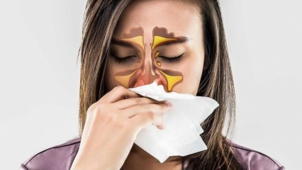 Hvad er en allergi? Hvad er symptomerne på allergisk rhinitis? Hvor mange typer allergier er der? 