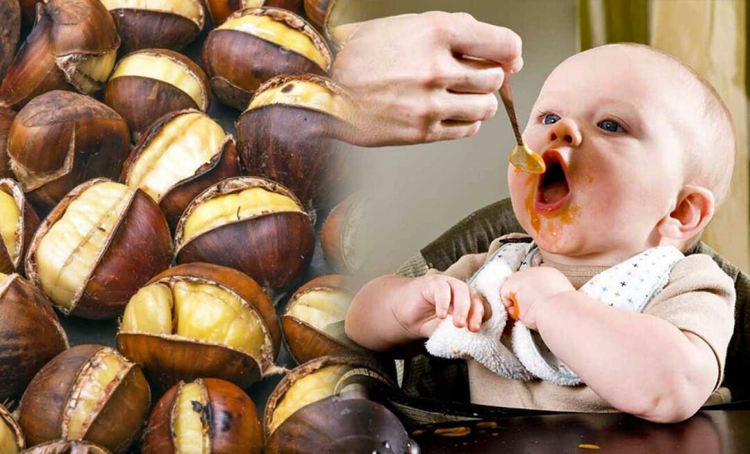 Kan babyer spise kastanjer? Hvordan laver man kastanjebudding?