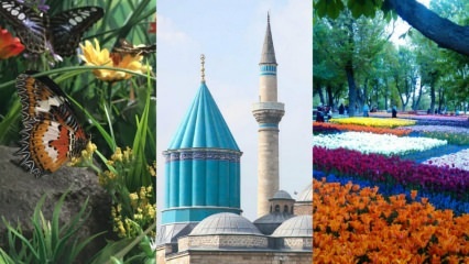 Rejseguide i Konya