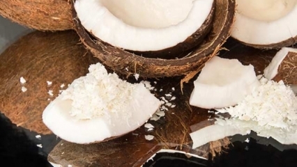 Hvordan man skærer kokosnød er det mest praktiske?