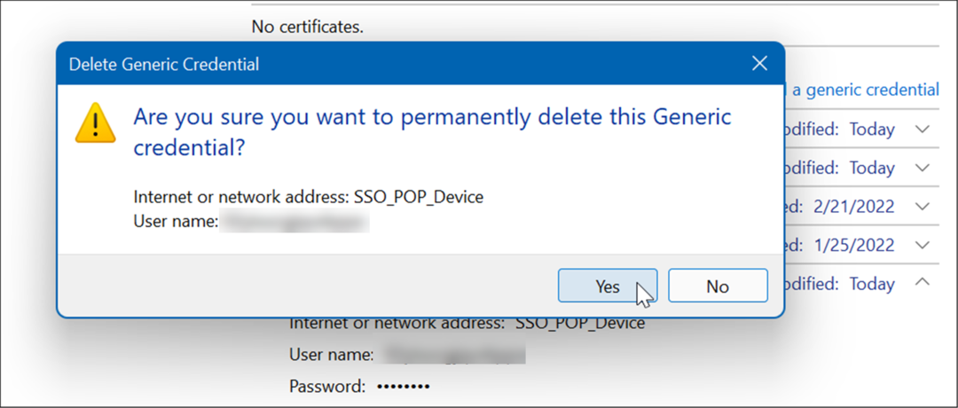  bekræft slet brug credential manager på Windows 11