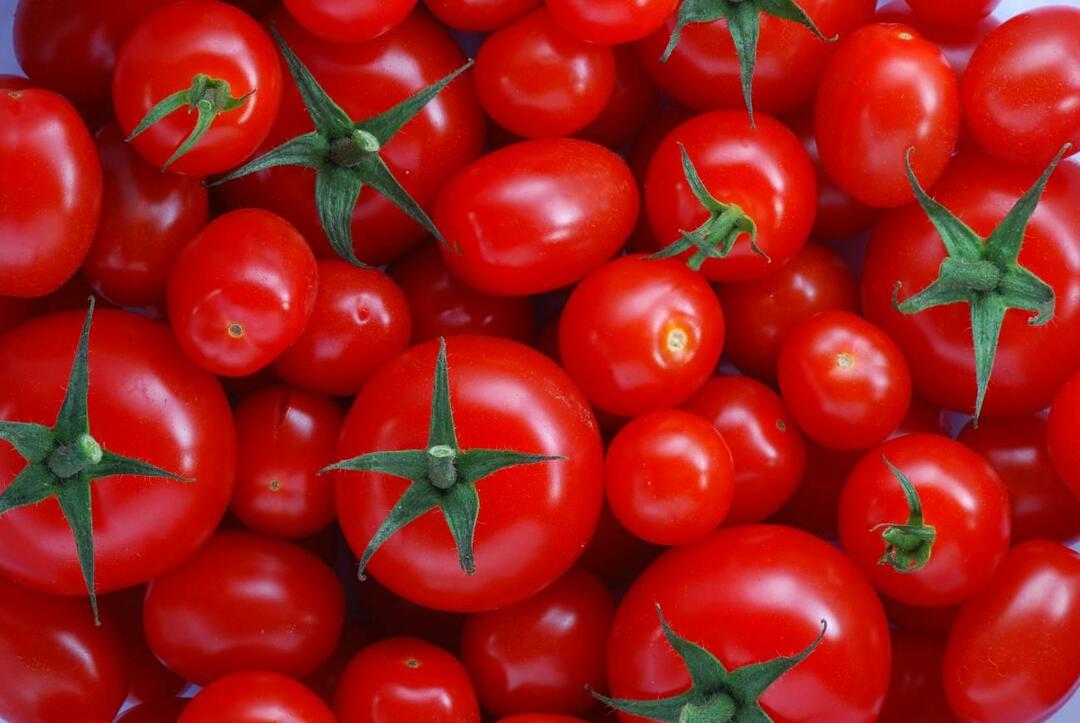 Sådan vælger du menemenlik tomater