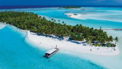 Skjult skønhed i Oceanien: Cookøerne