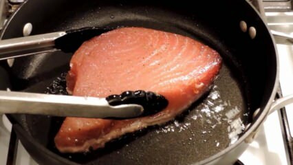 Hvad er tunfisk, og hvordan koges den? Her er opskriften på ristning af tunfisk
