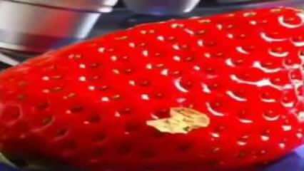 Jordbærvideo, der markerede sociale medier! Du lægger ikke jordbæret i munden igen ...