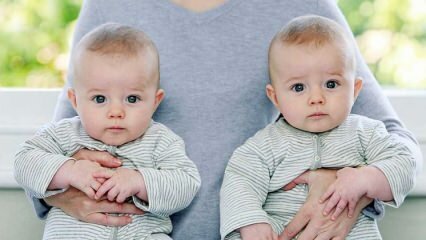 Forskelle mellem identiske og broderlige tvillinger