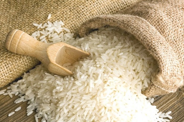 Hvad er Baldo ris? Hvad er funktionerne ved Baldo ris? 2020 baldo ris priser