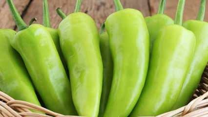 Hvad er fordelene ved peber? Hvis du spiser rå peber til morgenmad om morgenen ...