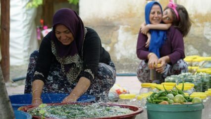Disse kvinder producerer 30 tusind tons pickles!
