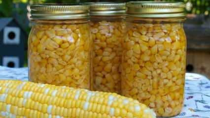 Hvordan opbevares majs? De nemmeste majsopbevaringsmetoder! Tilberedning af vintermajs