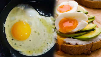 Hvilke olier er gavnlige for vores helbred? Hvis du spiser det æg, der ikke er kogt ...