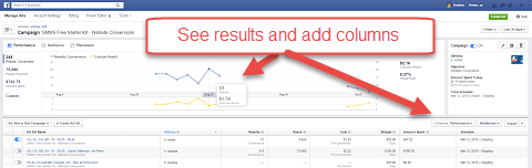 Facebook Ads Manager graf resultater
