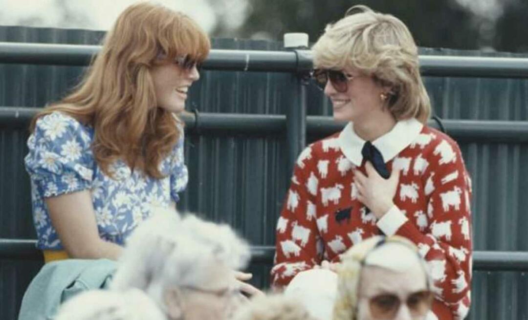 Prinsesse Dianas ikoniske sweater blev solgt til en forbløffende pris! For det sorte får, præcis...