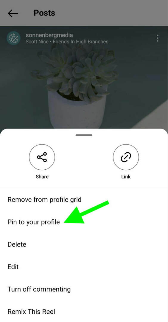 how-to-instagram-pin-reels-profile-grid-sonnenbergmedia-trin-1