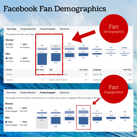 facebook fan demografisk diagram
