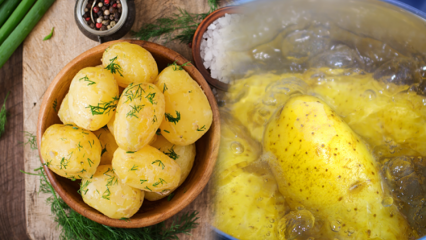 Hvordan koges kartoffelen? Tipene med kogte kartofler