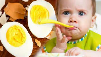 Hvordan skal æggeblommer gives til babyer? Hvor mange måneder skal ægget starte? Babyæg opskrift