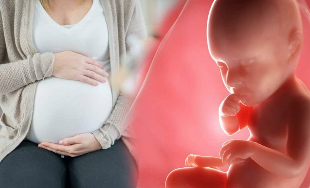 Hvordan får babyer næringsstoffer fra moderen under graviditeten? Sådan fodrer du barnet i maven fra moderen