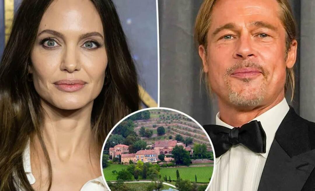 Brad Pitt afslørede Jolies beskeder i Miraval Castle-sagen, som blev til en slangehistorie!