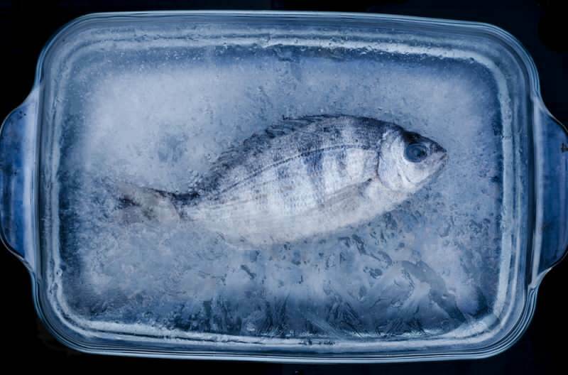 Hvor mange dage skal fisken i fryseren indtages?