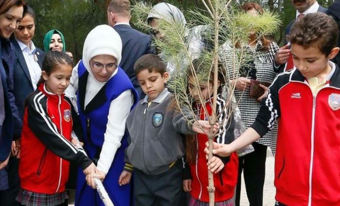 Indlæg om National Skovplanting Day fra First Lady Erdoğan