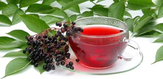elderberry te giver utrolige fordele for immunsystemet