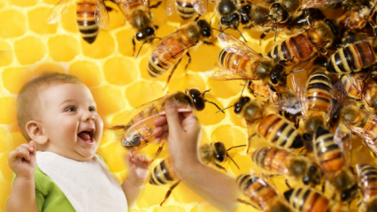 Hvordan skal honning gives til babyer? Hvad der ikke bør gives inden 1-årsalderen